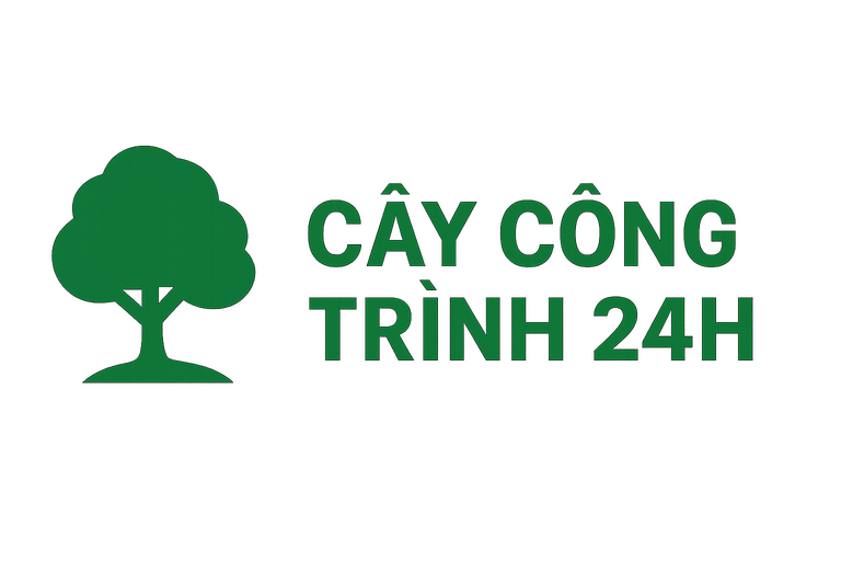 Cây Công Trình 24H